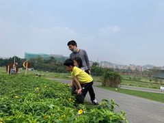 -光明小镇欢乐田园