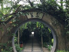 -广西壮族自治区药用植物园
