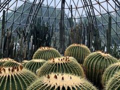 -深圳仙湖植物园