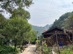 -大岭沟猕猴桃谷风景区