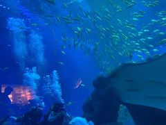 -成都浩海立方海洋公园