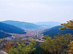 -千佛山风景名胜区