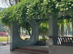 -四川大学(望江校区)