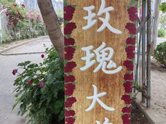 -太阳宫公园