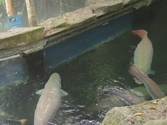 -青青世界