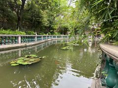 -碧江金楼