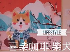 -喜柴咖啡·柴犬狗咖