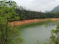 -清溪森林公园