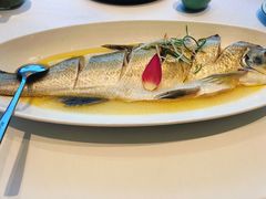 清蒸大白鱼-松鹤楼·非遗·苏帮菜(融科店)