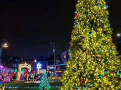 -Steveston Pizza Company (Richmond)