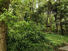 -杭州植物园