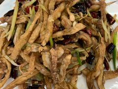 干煸鱿鱼-北戴河庆山饭店·海鲜砂锅粥(北戴河黑石路店)