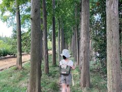 -前小桔亲子创意农场·草莓采摘·露营烧烤