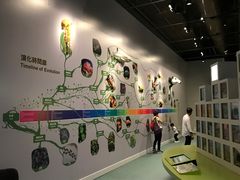 -香港科学馆