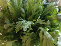 茼蒿-德庄火锅(矿大三胞店)