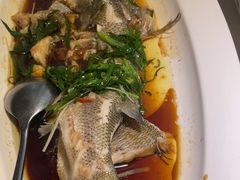 -院里寻菜·精致庭院菜(观沙岭店)