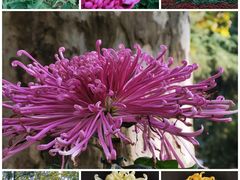 -共青国家森林公园-售票处