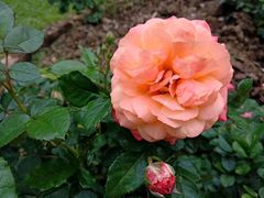 -人民公园(罗湖区)