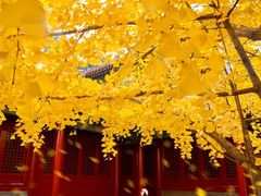 -承恩寺
