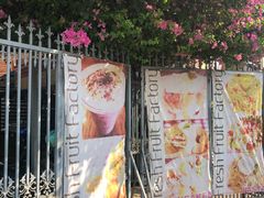 -Fresh Fruit Factory - Fruit Cuisine Restaurant