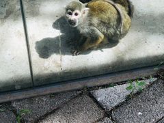 -长白岛森林公园