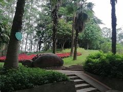 -白云山风景名胜区