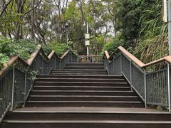 -金鸡山公园