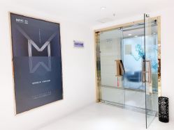 -MIVI野生眉纹绣纹眉