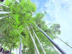 -王阳明故居