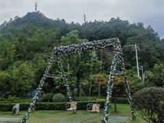 -绿城千岛湖喜来登度假酒店