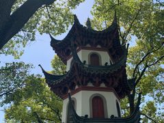 -川沙古镇-停车场