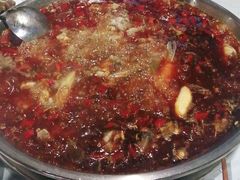 -蛙鱼道美蛙鱼自助火锅(新耍都店)