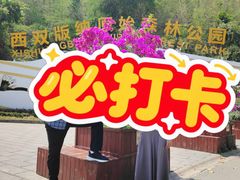 -西双版纳原始森林公园