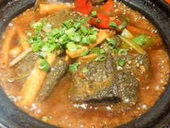 -金穗园·砂锅粥.醉鸡煲火锅(长寿路店)