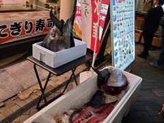-大起水产回转寿司(道顿堀店)