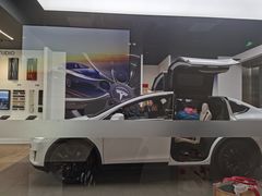 -TESLA 特斯拉(郑州正弘城体验店)