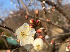 -狼山风景名胜区