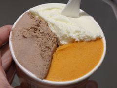 -Dip in Gelato(富民路店)