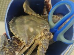 -澜悦港海鲜体验主题餐厅