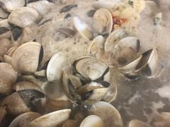 -顺德哥卜卜贝(旗舰店)