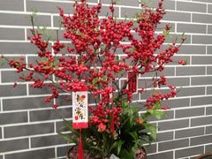 -粥旺庄(芳村店)