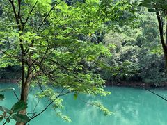-鼎湖山风景区
