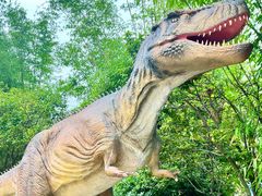 -海合安武汉极地海洋公园