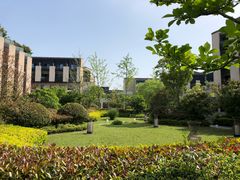 -上海崇明金茂凯悦酒店