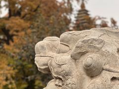-北京石刻艺术博物馆(五塔寺)