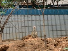 -石家庄市动物园