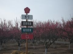 -新白鹿餐厅(银泰西湖文化广场店)