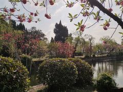 -无锡蠡湖国家湿地公园-蠡园