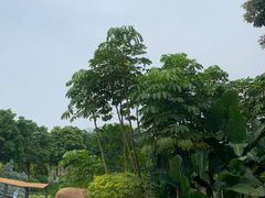 -琅岐红光湖公园
