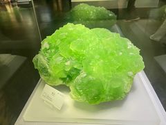 -湖南省地质博物馆